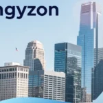 Zingyzon com in USA: What US Tech Users Should Know